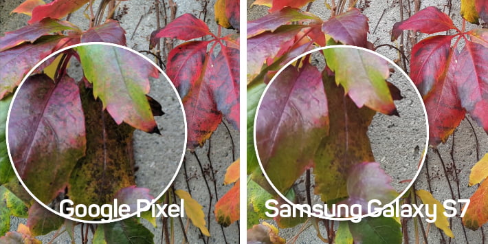 pixel xl vs galaxy s7 camera comparison